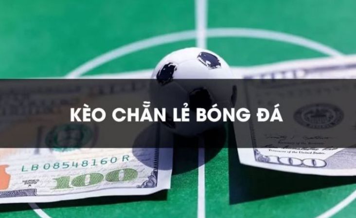 Trang web cá cược bóng đá tốt nhất cung cấp tỷ lệ cược cấp độ Kc88/Kc88 cho năm 2026 - Kc88