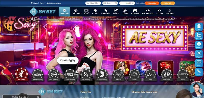 789Win - Chơi game vui nhộn và kiếm tiền mỗi ngày! - 789Win