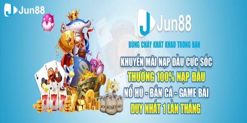 Trải nghiệm thực tế ảo trong một đấu trường đá gà đẳng cấp Helo88 - Helo88