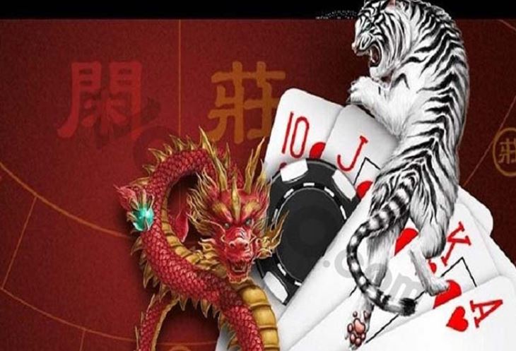 Có kinh nghiệm thi đấu chuyên nghiệp cấp độ Df999 - Df999