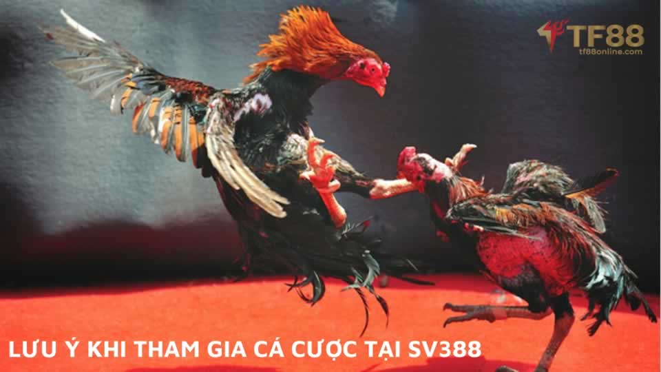 Gnbet, cổng game uy tín nhất trong lịch sử - Gnbet