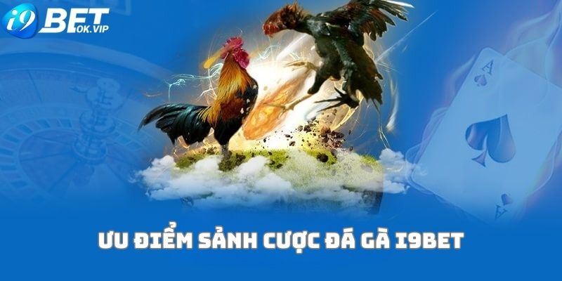 Thông tin an toàn cơ bản của Stake - Stake