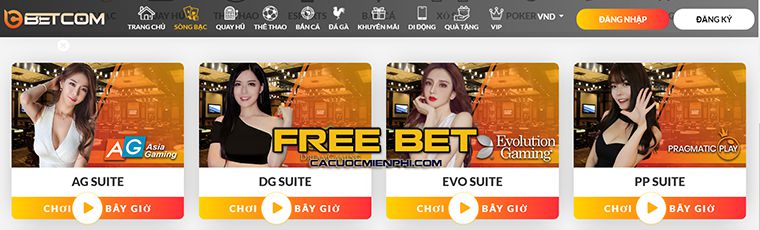 Danh sách các trò chơi nổi bật được xếp hạng Xin88 - Xin88