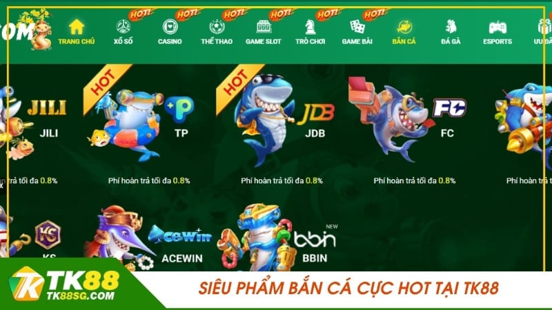 Các vấn đề thường gặp khi chơi game cấp độ 33King - 33King