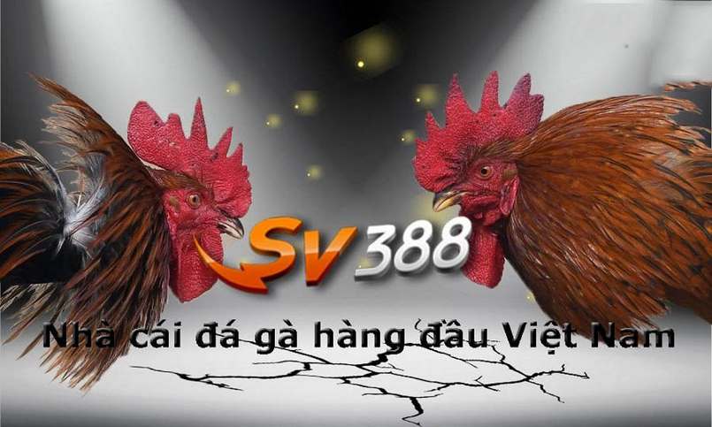 Môi giới cấp 6Sports có thể mang lại cho bạn thu nhập hàng tháng đáng kể - 6Sports