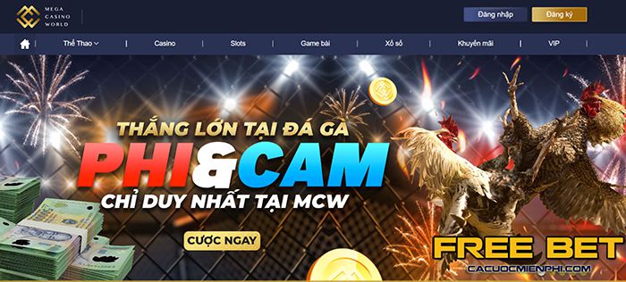 Danh sách ưu đãi đặc biệt Hr99 - Hr99