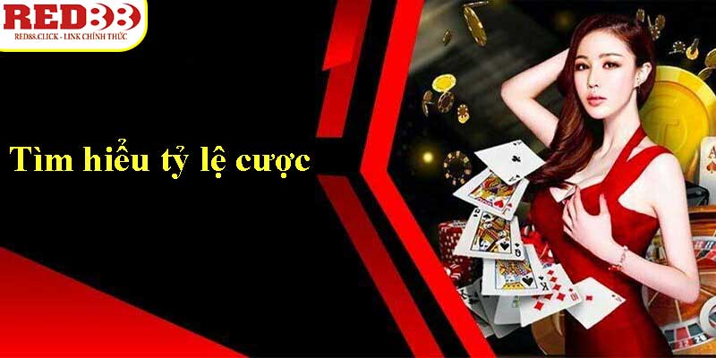 Giới thiệu chi tiết về Hr99 - Hr99