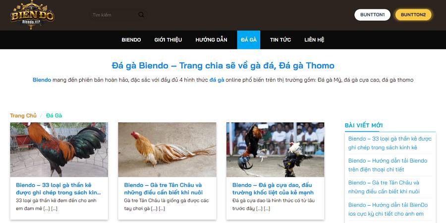 Đánh giá trang web Win88 - Win88