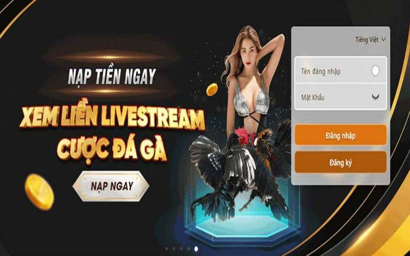 Z8bet là trang web cá cược bóng đá phổ biến nhất tại Hoa Kỳ - Z8bet