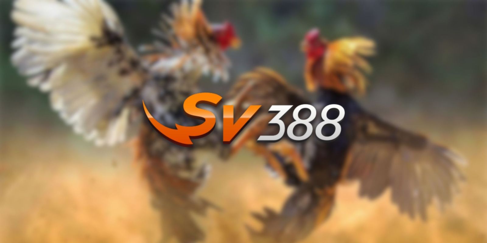 Các bước để nhanh chóng tham gia trò chơi máy đánh bạc Thần Gió cấp độ 88Bet - 88Bet