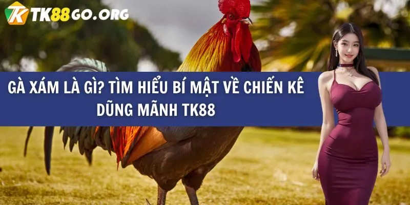 Khám phá những ưu đãi tuyệt vời trên 789P Online - 789P