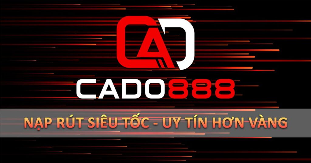 Những điều quan trọng cần nhớ khi nạp tiền vào tài khoản 11Vn - 11Vn